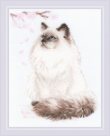 Uab Riolis Meow Zen SR1878