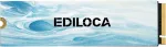 Ediloca vidinis 1 TB M.2 2280 NVMe SSD, PCIe 4.0, iki 7100 MB/s, EN880E