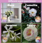 Joric kvapnių žvakių rinkinys 4,4 oz su 4 jazminų, lotosų, alyvų žiedais ir baltąja gardenija, dovanos moterims, aromaterapinės žvakės, natūralus sojų va&scaron;kas, ne&scaron;iojama kelioninė žvakė, dovanos gimtadienio proga
