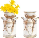 Hacaroa 2 metalinių pieno ąsočių rinkinys, kaimi&scaron;ka galvanizuota vaza, 19 cm shabby chic stiliaus ąsotis su rankena, primityvi dekoratyvinė vaza gėlėms, mini ąsotis namams, svetainei, virtuvei, ūkio dekoravimui