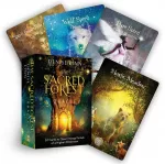 Hay House Sacred Forest Oracle Kortos