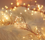 TelForceone String Light COPPER TWIG CLF-02 480LED &scaron;iltai balta 3m + 5m laidas Forever Light