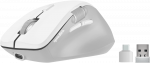 Speedlink LIBERA įkraunama belaidė BT pelė, tyli, balta