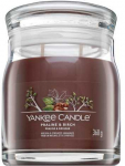 Yankee Candle Praline & Birch Kvepianti žvakė 368ml kvepianti žvakė