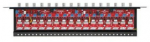 Ewimar TST LHD-16R-PRO-FPS apsauga