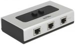 &Scaron;akotuvas DELOCK jungiklis RJ45 10/100/1000Mbps 2 prievadas