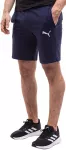 Puma &Scaron;ortai Vyrams TeamGoal Casuals Shorts Navy 658608 06