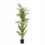 Kaemingk Dirbtinis bambukas vazone, auk&scaron;tis 160 cm