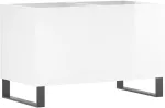 Vinilinė plok&scaron;telė Vinilinių plok&scaron;telių spintelė, balta, 74,5x38x48cm, mediena