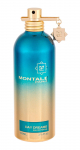 Montale Paris Day Dreams for Women (Kvepalai Moterims) EDP - 100ml - (BE PAKUOTĖS)