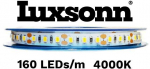 20W/m LED juosta LUXSONN, DC 24V, 160 LED/m, 4000K, IP67, 5m ritė