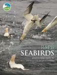 KNYGA Marianne Taylor RSPB Seabirds