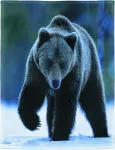 Yisumei Pūkuotas antklodė 150 x 200 cm mink&scaron;tas flanelinis vilnos antklodė pilkas me&scaron;kiukas