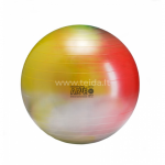 Gymnic Arte kamuolys 65