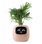 Kwiatydonice PlantsIO gebenė rožinė