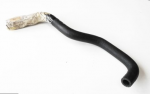 Bmw E46 3 Žarnos Alkūnė Originalus 34331165019