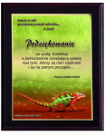 Plastikinis diplomas su laminatu