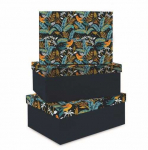 Lastva Dėžutės TROPICAL 3vnt mėlynos 295X220X110 260X190X105 230X160X100mm