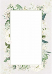 Galeria Papieru Popierius diplomams A4 170g 25l BIANCO