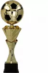 Metalinė taurė - futbolas