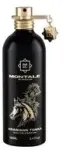 Montale Paris Arabians Tonka EDP 50 ml
