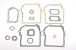 TARPINIŲ KOMPLEKTAS BRIGGS&STRATTON 450 500 CLASSIC