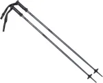 Martes ALPINE SKI II lazdos, 120 dydis