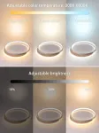 Fanlg Led lubų &scaron;viestuvas 40 cm, pritemdomas, 3000-6000k, modernus