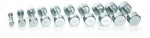 Svarmuo / hantelis GYMSTICK Pro Chrome Dumbbell (0,5&ndash;10 kg) (Svoris: 10 kg)