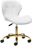 Activeshop Kosmetologinė meistro kėdutė QS-06G Baltas