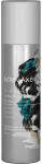 Bj&ouml;rn Ax&eacute;n Sausas &scaron;ampūnas 150ml