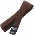 Beltor rudas karate diržas obi universalus premium kimonui karate gi 280 cm