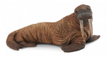 Collecta jūrų vėplys L 88569