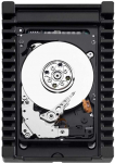 Hewlett Packard (HP) SPS-DRV HD 600GB 10K SFF **Refurbished** (Atnaujinta)