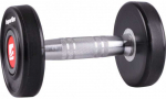 Gumuotas hantelis inSPORTline PRO 16kg