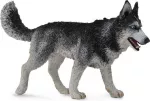 Collecta Figūrėlė - Sibiro haskis