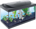 Tetra akvariumas - Starter Line akvariumas su LED ap&scaron;vietimu, 54 l, juodas