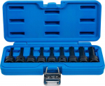 Bgs Technic Smūginių antgalių rinkinys | 12,5 mm (1/2") | Spline (Ribe) M5 - M14 | 9 vnt. (5483)