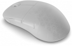 Endgame Gear XM2w 4k belaidė žaidimų pelė, belaidė - Baltas Frost