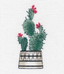 Oven Pear cactus S1489