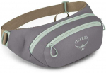 Osprey Daylite Waist