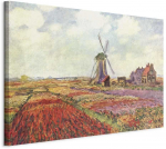 Paveikslas - Claude Monet &ndash; Tulip Fields with Windmill