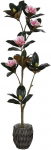 Dirbtinis augalas Magnolija, 135 cm