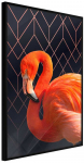 Orange Plakatas - Oranžinis Flamingo