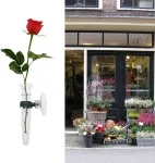 Heallily 8 vienetų orchidėjų mėgintuvėliai su siurbtuku gėlių mėgintuvėliai vandens mėgintuvėliai plastikiniai mėgintuvėliai stiklinė gėlių vaza sieninė vaza plastikiniai skaidrūs mėgintuvėliai