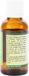 R V Essential grynas gervuogių aliejus 30 ml (1.01 oz) - Rubus Fruticosus (100% grynas ir natūralus &scaron;alto spaudimo) grynas gervuogių aliejus