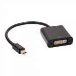 Akyga Akyga DisplayPort Mini &ndash; juodas DVI-I AV adapteris (AK-AD-37)