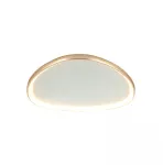 32W LED lubinis &scaron;viestuvas, matinės aukso sp., 3000K, dimeriuojamas, 23088