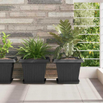 Augalų vazonai 6 pcs Juoda 28,5 x 28,5 x 22 cm Plastmasė
