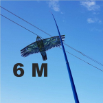 Kotas 6M Aitvarui